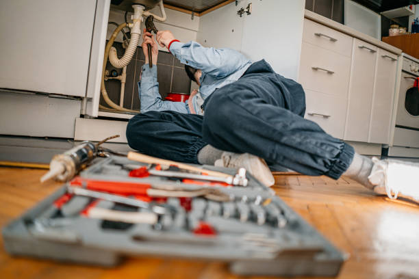 Best Clogged Drain Plumber  in Madelia, MN