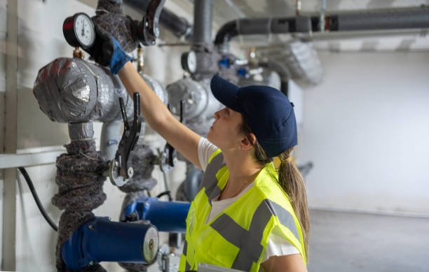 Best Best Plumbers Near Me  in Madelia, MN
