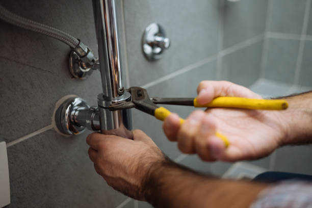 Best Plumbing Inspection Services  in Madelia, MN