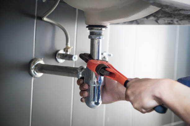 Best Commercial Plumbing Services  in Madelia, MN