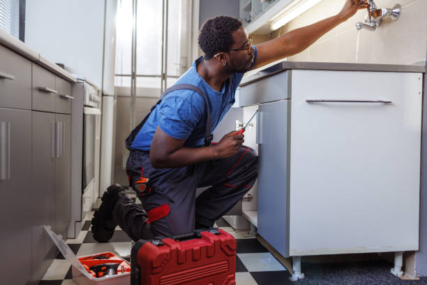 Best Plumbing Installation Services  in Madelia, MN